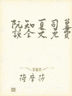 阮知夏司暮寒小说全文免费