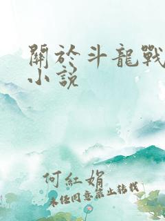 关于斗龙战士的小说