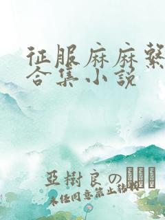 征服麻麻系列大合集小说