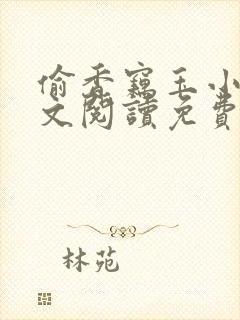 偷香窃玉小说全文阅读免费