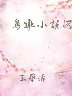 鸟瞰小说网