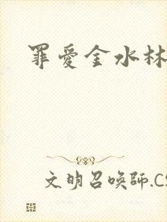 罪爱金水林晓慧