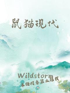 鼠猫现代