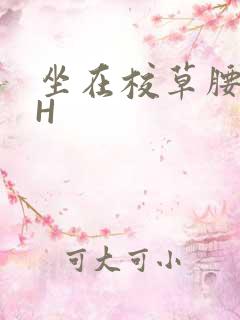 坐在校草腰上动H
