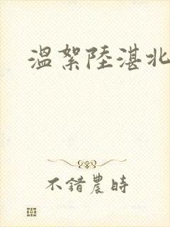温絮陆湛北
