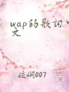 wap的歌词中文