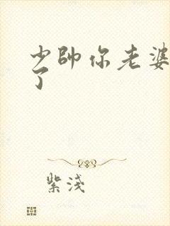 少帅你老婆又跑了