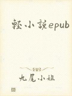 轻小说epub