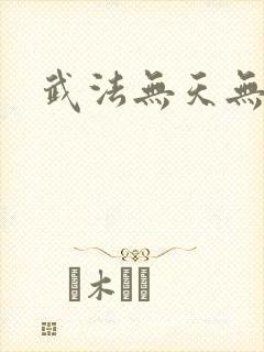 武法无天无弹窗