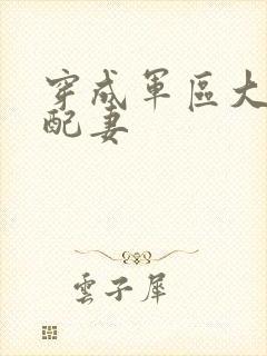 穿成军区大佬女配妻