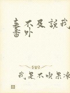 来不及说我爱你番外