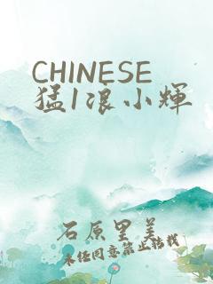 CHINESE猛1浪小辉