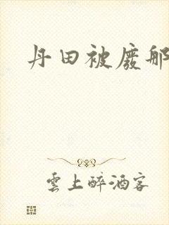 丹田被废那些年