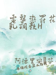 电击惩罚花蒂榨乳调教H