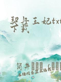 契丹王妃txt下载