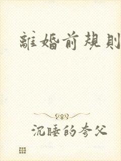 离婚前规则小说