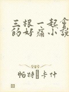 三根一起会坏掉的好痛小说
