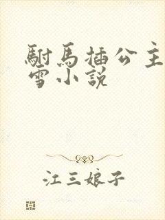 驸马插公主恋战雪小说