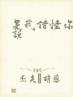 是我错怪你了小说