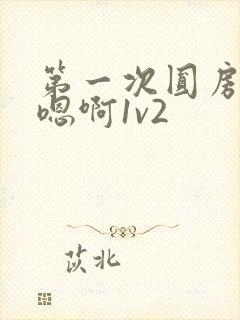 第一次圆房～h嗯啊1v2