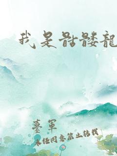 我是骷髅龙骑兵