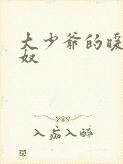 大少爷的暖床小奴