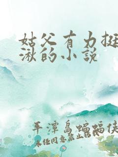 姑父有力挺送徐湫的小说