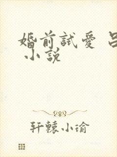婚前试爱 吕颜 小说