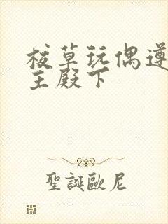 校草玩偶遵命公主殿下