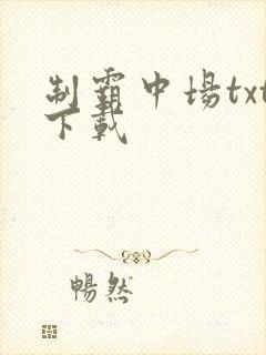 制霸中场txt下载