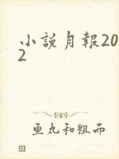 小说月报2012