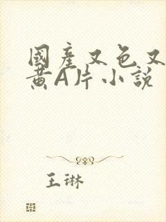 国产又色又爽又黄A片小说