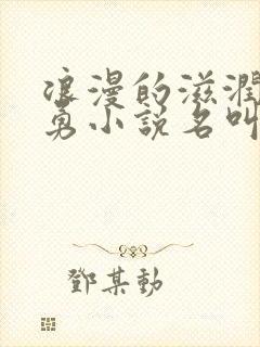 浪漫的滋润刘大勇小说名叫什么?