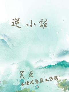 逆 小说