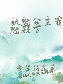 妖魅公主霸上邪魅殿下