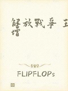 解放战争 王树增