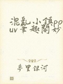 混乱小镇popuv笔趣阁妙妙