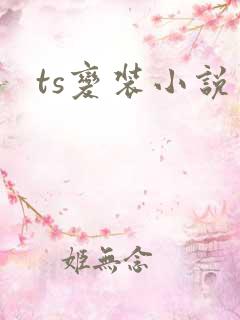 ts变装小说