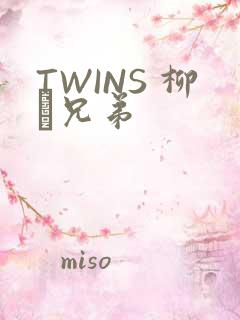 TWINS 柳澤兄弟