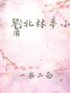 刘北林梦小说主角