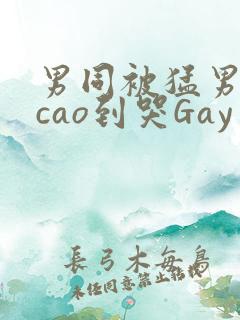 男同被猛男房东cao到哭Gay