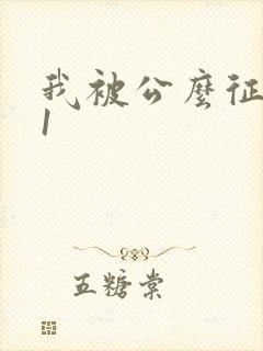 我被公么征服了1