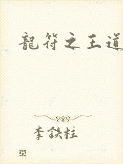 龙符之王道天下