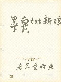 黑白txt新浪下载