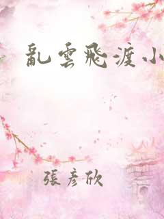 乱云飞渡小说