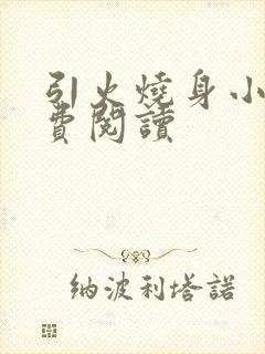 引火烧身小说免费阅读