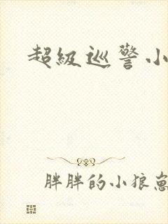 超级巡警小说