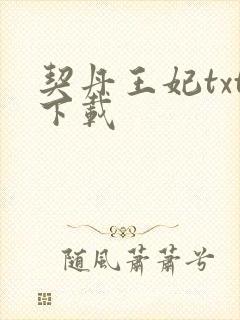 契丹王妃txt下载