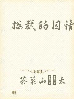 总裁的囚情前妻