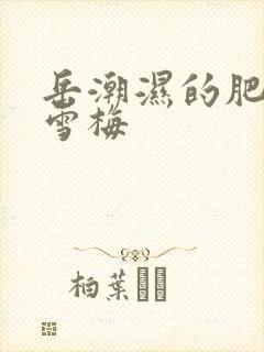 岳潮湿的肥厚李雪梅